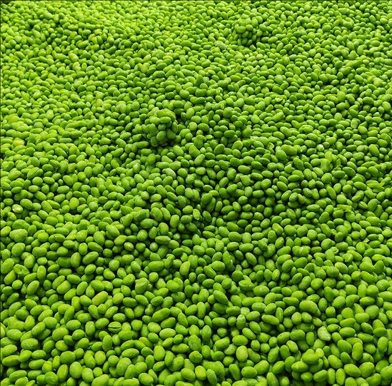 soy beans kernels