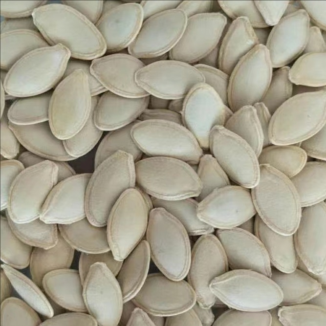 Pumpkin kernels