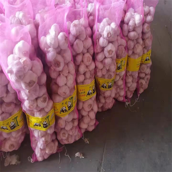 Fresh vegetables