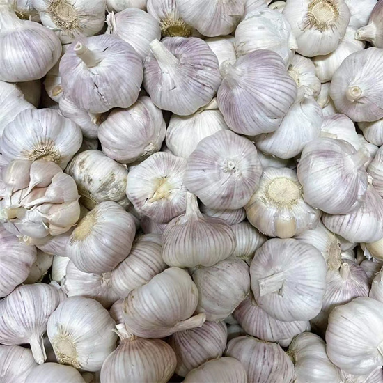 Fresh vegetables