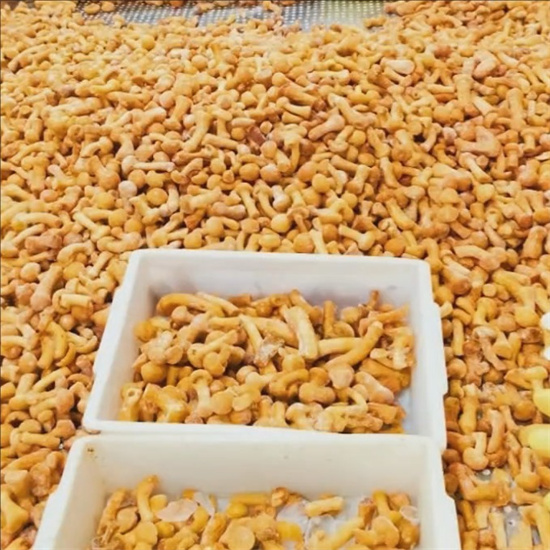 nameko