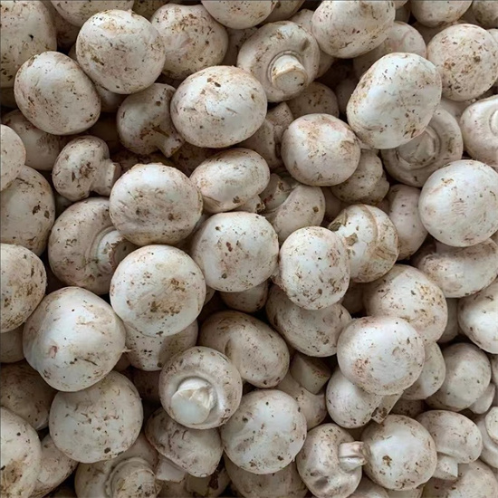 mushrooms