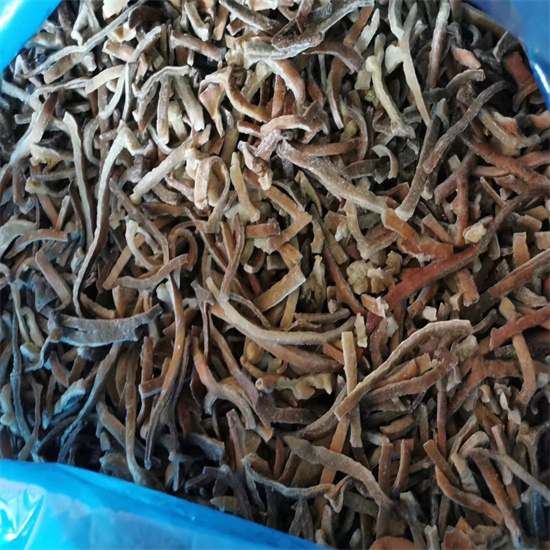 black fungus