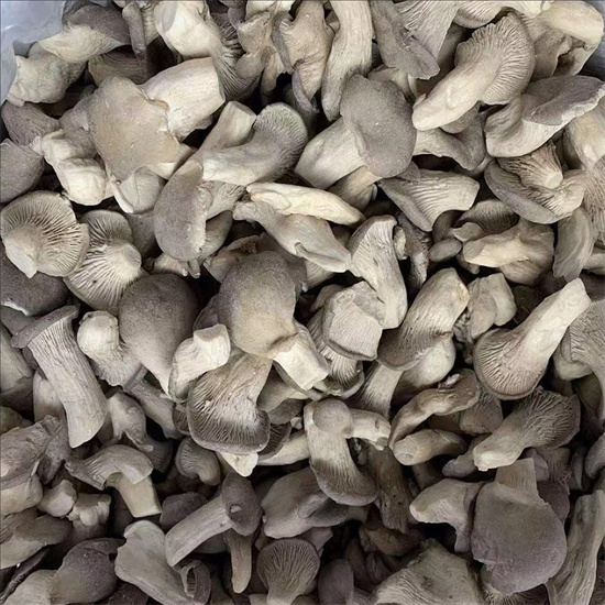 baby oyster mushrooms