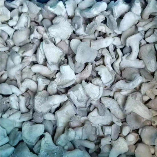 baby oyster mushrooms