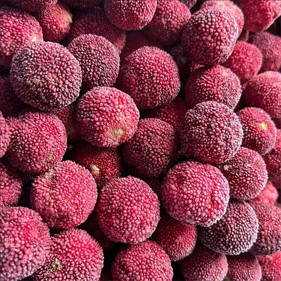 waxberry