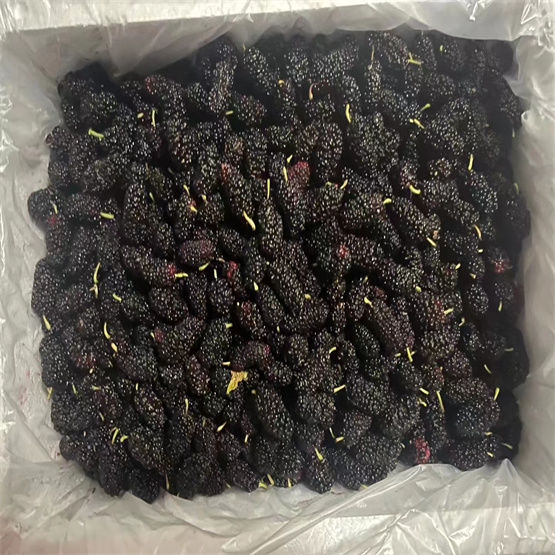 mulberry