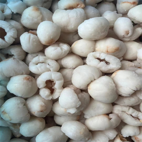 longan