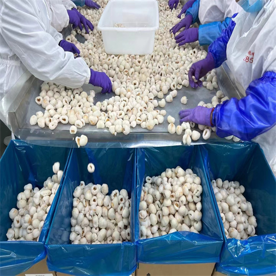 longan