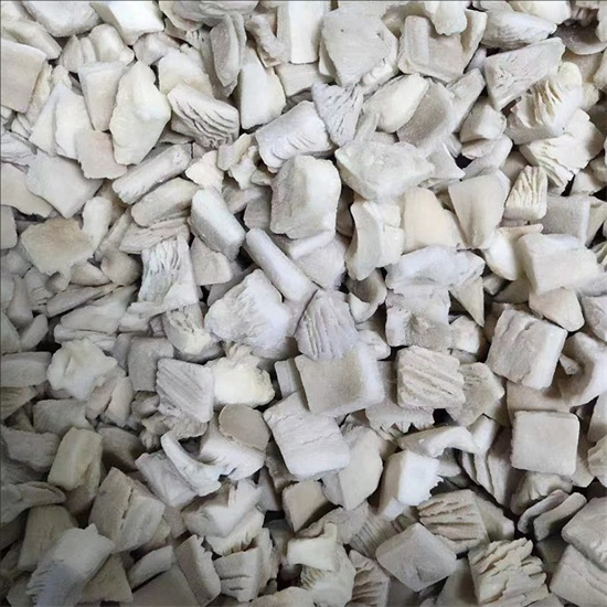 oyster mushrooms