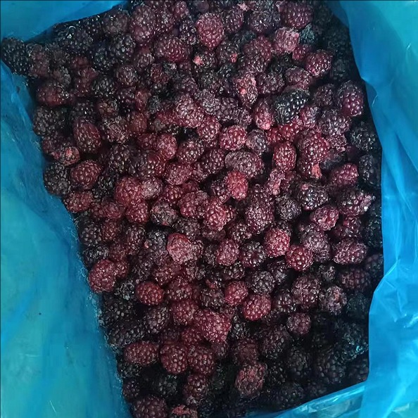 blackberry