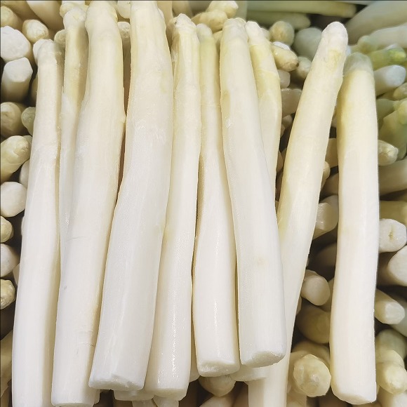 white asparagus