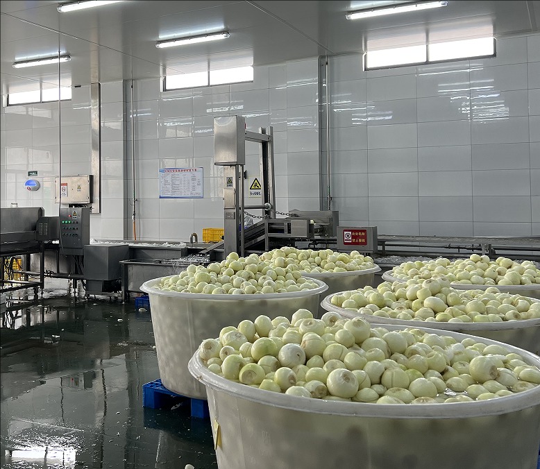 onions