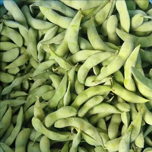 soy beans