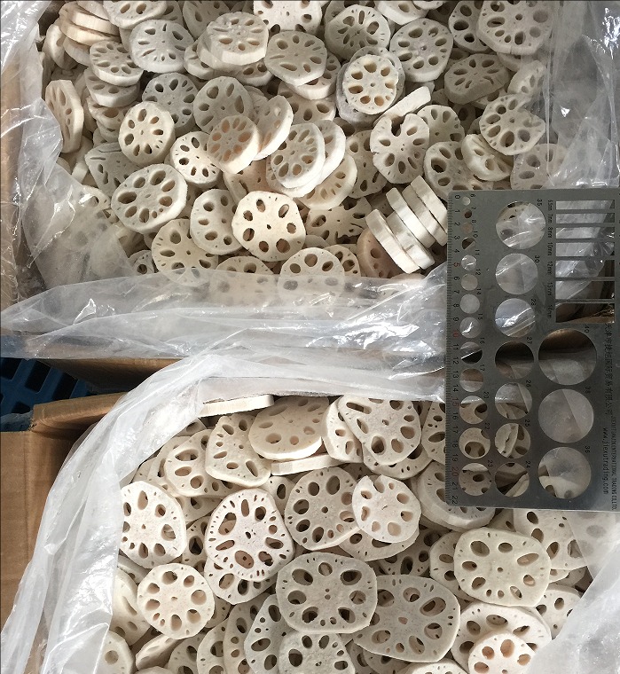 lotus roots