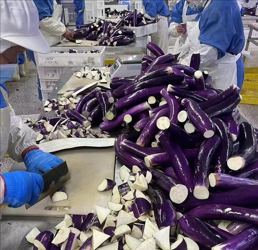 eggplant