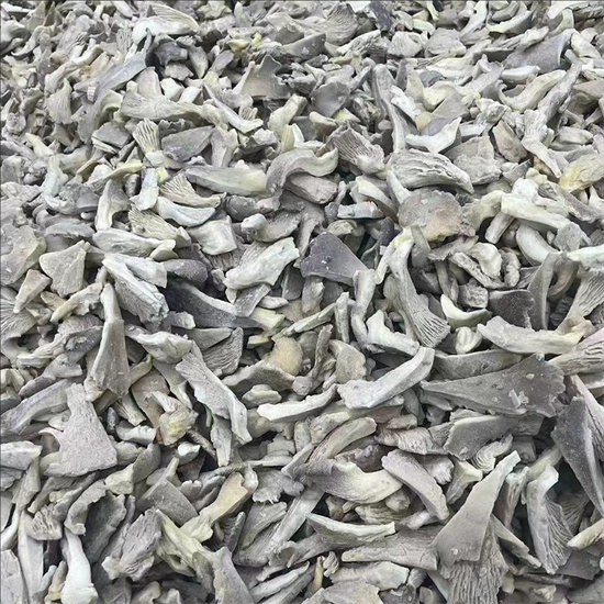 oyster mushrooms