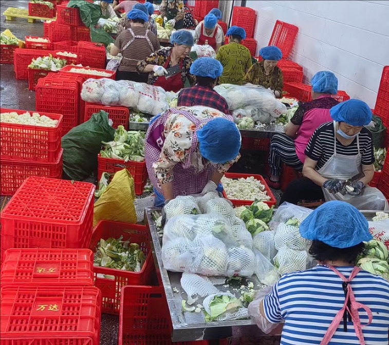 cauliflower