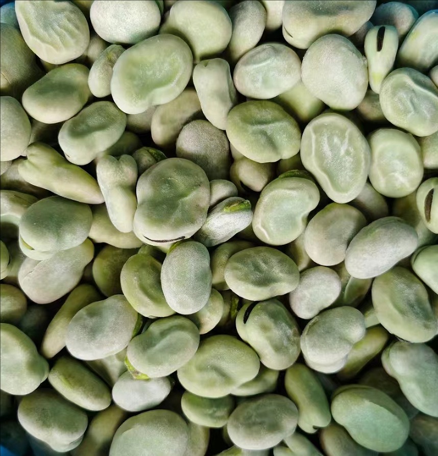 broad beans