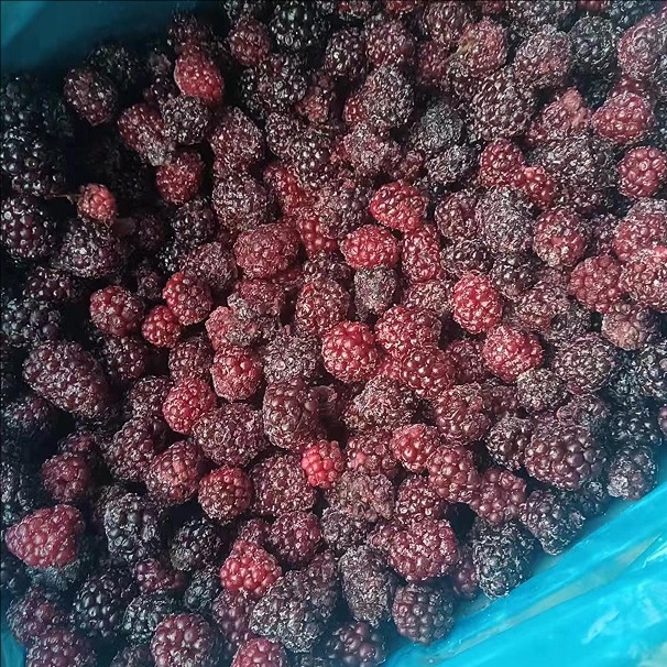 blackberry